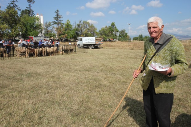 фермер на 82 години получи грамота за отглеждане на рядка порода овце
